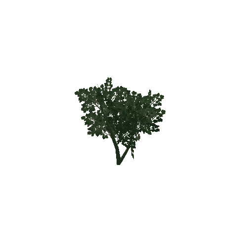 Bush 1 (Type 2)